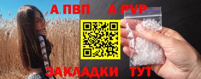 кокс Кингисепп