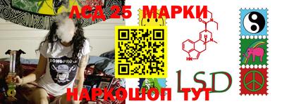 кокс Кингисепп