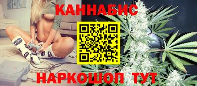 кокс Кингисепп