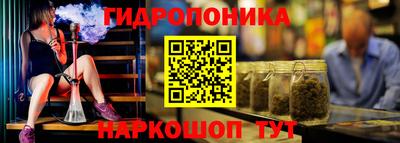 кокс Кингисепп