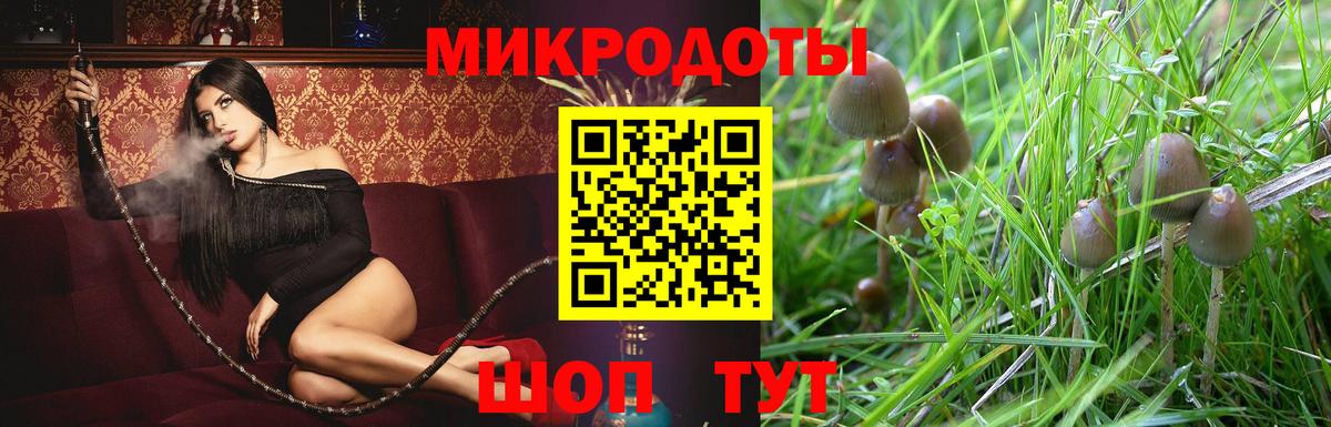 Псилоцибиновые грибы GOLDEN TEACHER  Вход с VPN  Кудрово 