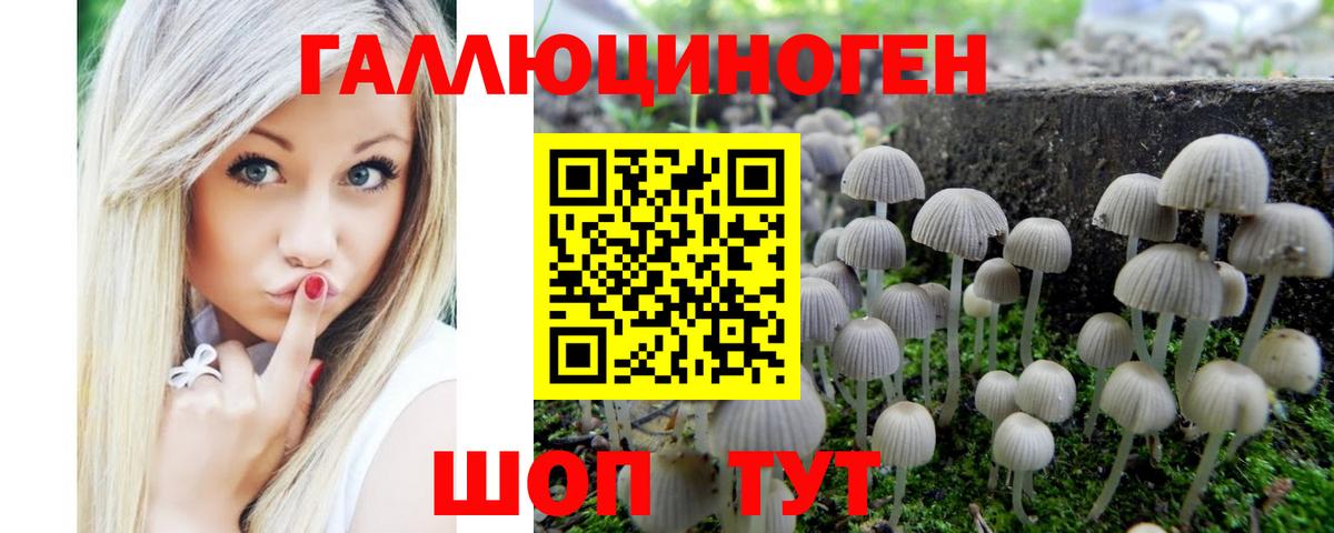 Галлюциногенные грибы Cubensis Кудрово